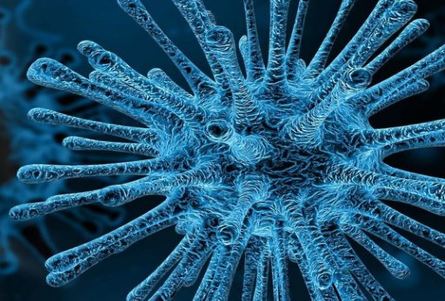 Bluedot, la IA que halló el coronavirus de Wuhan