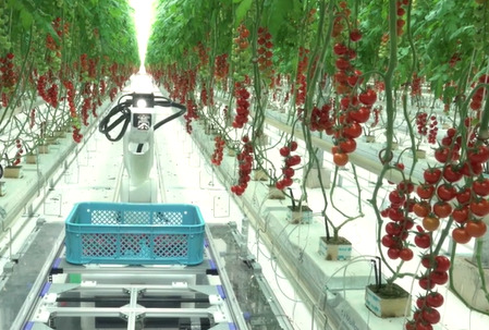 El futuro del sector agrícola está en la robotización de sus cultivos